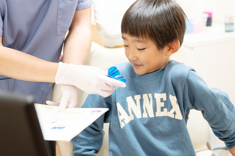 プレオルソについて